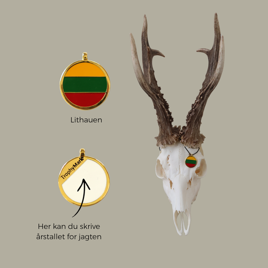 Lithauen - Trofæmedalje