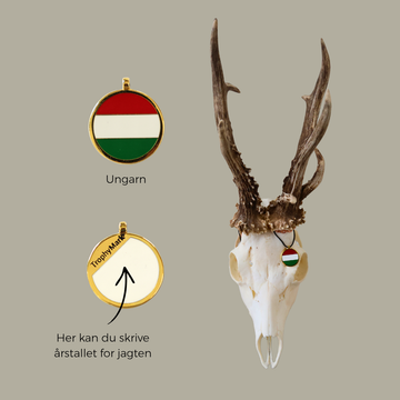 Ungarn - Trofæmedalje