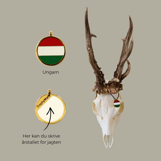 Ungarn - Trofæmedalje