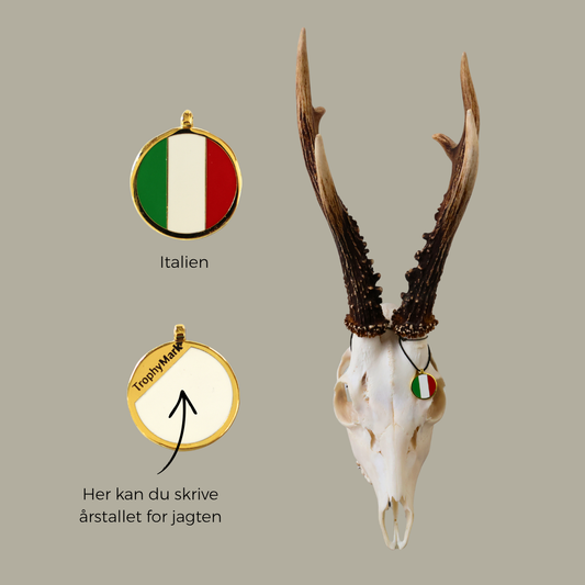 Italien - Trofæmedalje