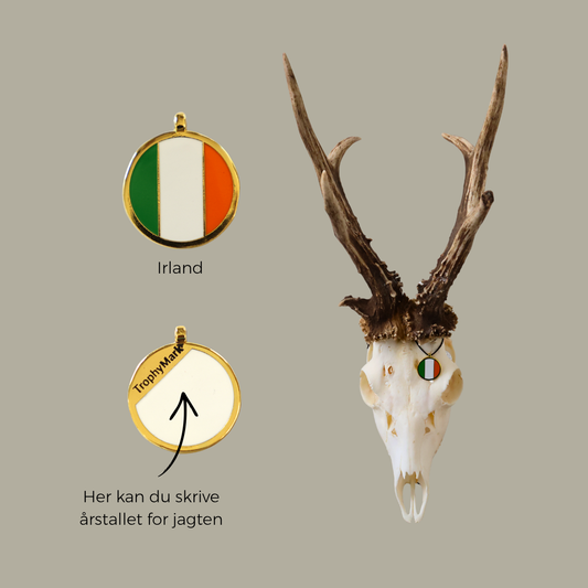 Irland - Trofæmedalje