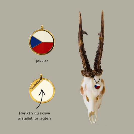 Tjekkiet - Trofæmedalje