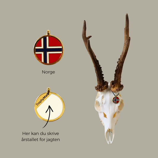 Norge - Trofæmedalje