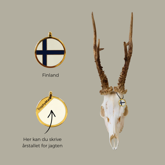 Finland - Trofæmedalje