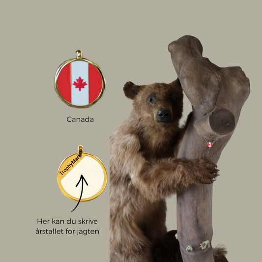 Canada - Trofæmedalje