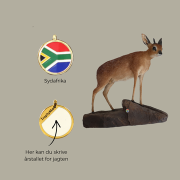 Sydafrika - Trofæmedalje