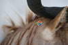 Sydafrika - Trofæmedalje