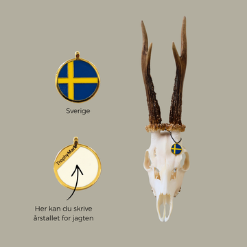 Sverige - Trofæmedalje
