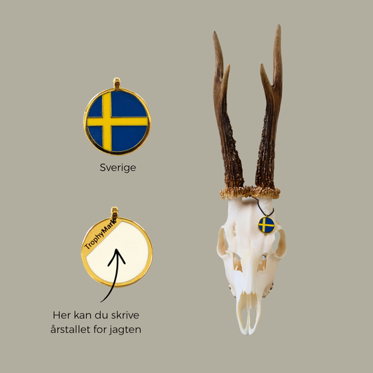 Sverige - Trofæmedalje