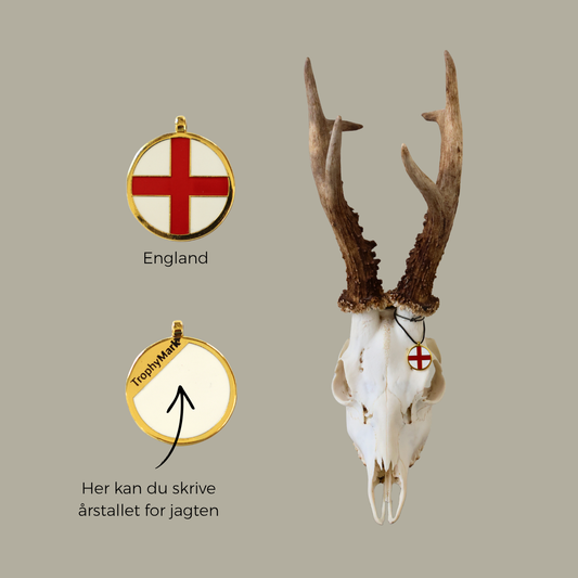 England - Trofæmedalje