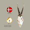 Danmark - Trofæmedalje
